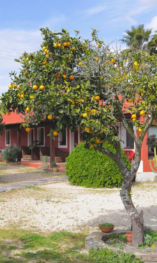 Monte Da Xica - Somente Adultos Pensionat Zambujeira do Mar Exteriör bild